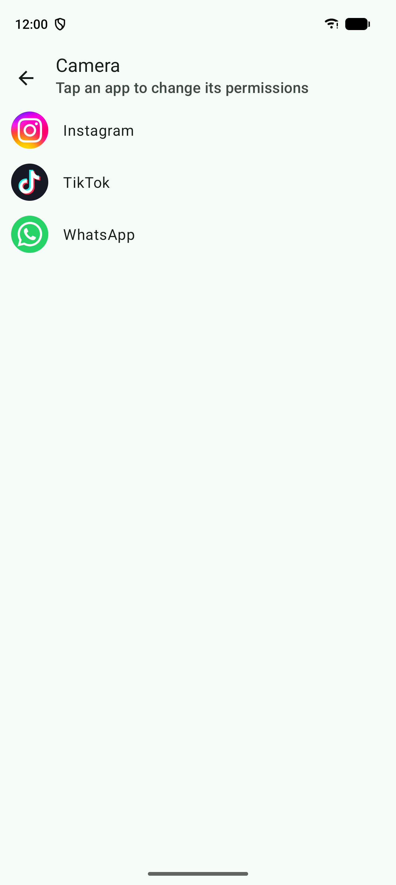 Apps that can use the camera